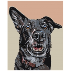 Maalid numbrite järgi A100