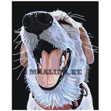 Maalid numbrite järgi A103