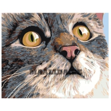 Maalid numbrite järgi A106