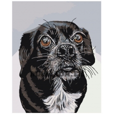 Maalid numbrite järgi A107