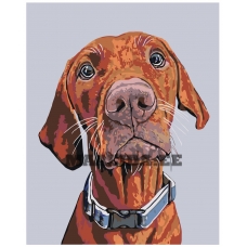 Maalid numbrite järgi A108