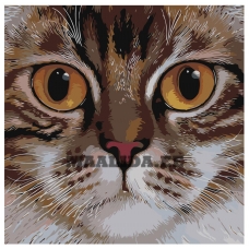 Maalid numbrite järgi A109