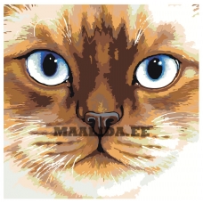 Maalid numbrite järgi A110