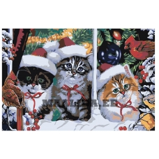 Maalid numbrite järgi A113