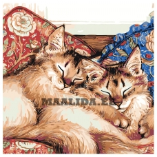 Maalid numbrite järgi A117