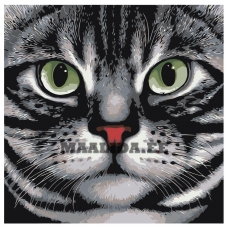 Maalid numbrite järgi A119