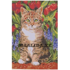 Maalid numbrite järgi A120