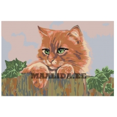 Maalid numbrite järgi A122