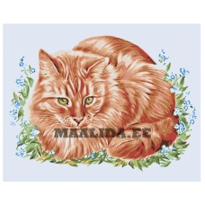 Maalid numbrite järgi A123