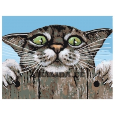 Maalid numbrite järgi A128