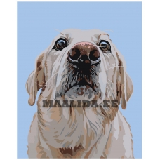 Maalid numbrite järgi A139