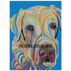 Maalid numbrite järgi A145