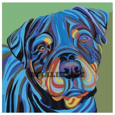 Maalid numbrite järgi A146