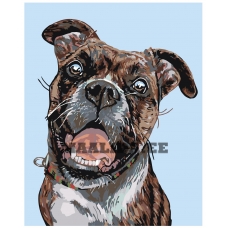 Maalid numbrite järgi A149