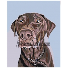 Maalid numbrite järgi A150