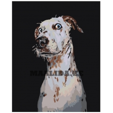 Maalid numbrite järgi A151