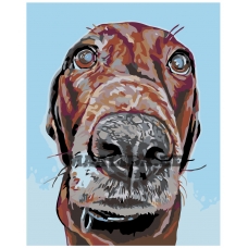 Maalid numbrite järgi A152