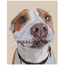 Maalid numbrite järgi A153