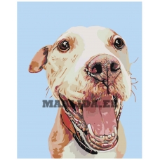 Maalid numbrite järgi A154