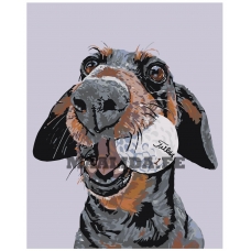 Maalid numbrite järgi A155