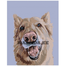 Maalid numbrite järgi A156