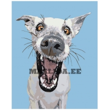 Maalid numbrite järgi A157