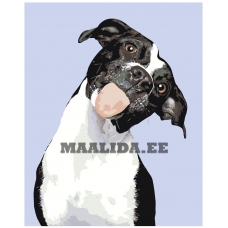 Maalid numbrite järgi A158