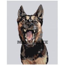 Maalid numbrite järgi A159