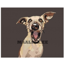 Maalid numbrite järgi A160