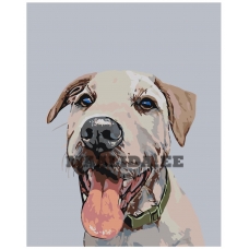 Maalid numbrite järgi A161