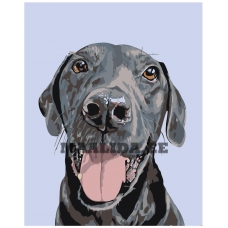 Maalid numbrite järgi A162