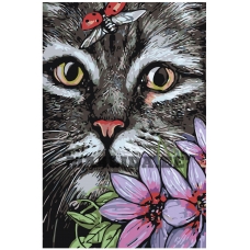 Maalid numbrite järgi A164