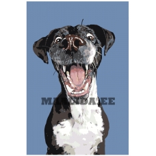 Maalid numbrite järgi A165