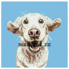 Maalid numbrite järgi A166