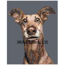 Maalid numbrite järgi A167