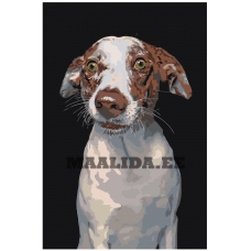 Maalid numbrite järgi A168