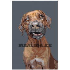 Maalid numbrite järgi A169