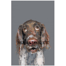 Maalid numbrite järgi A170