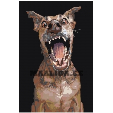 Maalid numbrite järgi A171