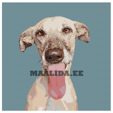 Maalid numbrite järgi A172