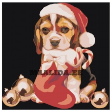 Maalid numbrite järgi A176