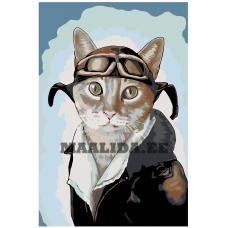 Maalid numbrite järgi A177