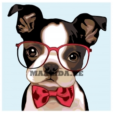 Maalid numbrite järgi A199