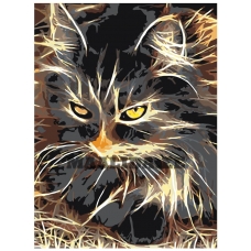 Maalid numbrite järgi A203