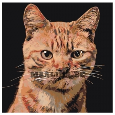 Maalid numbrite järgi A207