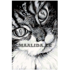 Maalid numbrite järgi A208