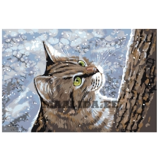 Maalid numbrite järgi A211