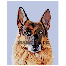 Maalid numbrite järgi A214