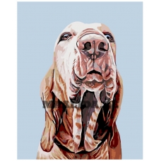 Maalid numbrite järgi A215