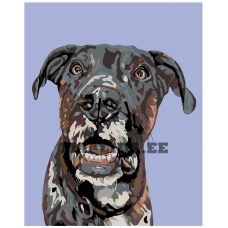 Maalid numbrite järgi A218